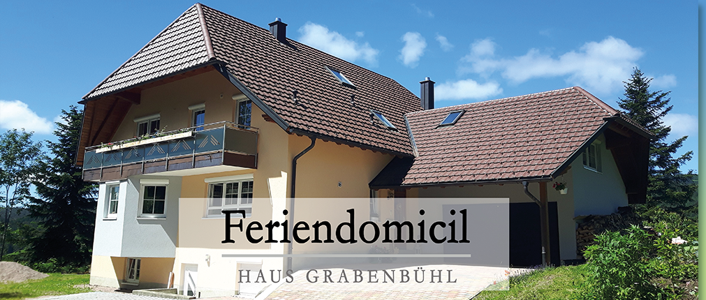 Haus Grabenbühl FeWo Schwarzwald