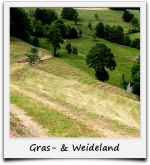 Grasland Schwarzwald