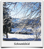 Schnee im Schwarzwald