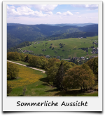 Sommerliche Aussicht Schwarzwald