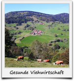 Viehwirtschaft Schwarzwald