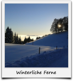 Feldberg Winter