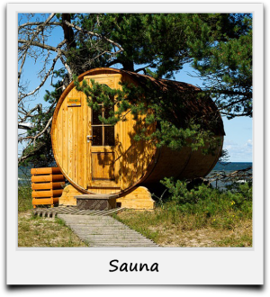 Geschichte der Sauna
