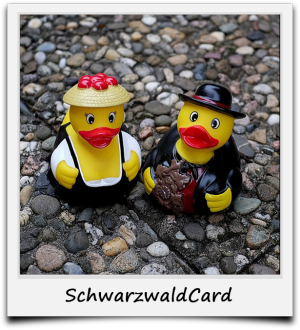 Vorteile SchwarzwaldCard Vorteile SchwarzwaldCard