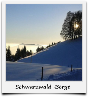 Schwarzwald-Berge