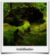 Waldbaden Schwarzwald Waldbaden Schwarzwald