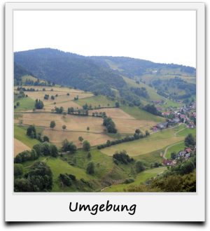Wieden Umgebung
